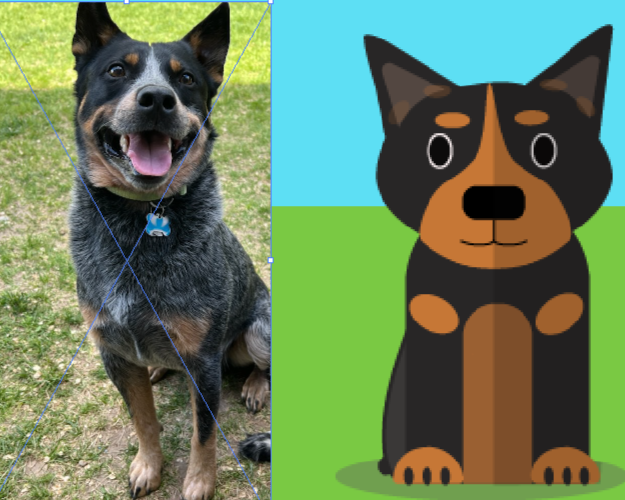 Harlee's work in adobe illustrator for her portfolio. She recreated her sister in law's blue healer and made him into a cartoon.